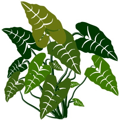 Elephant ears clipart
