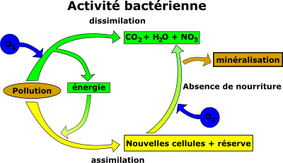 Elimination de la pollution clipart