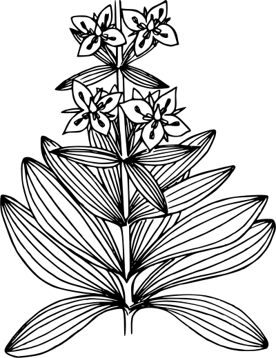 Elkweed clipart