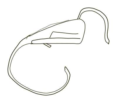 Endoscopio clipart