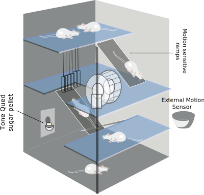 Environmental Enrichment clipart