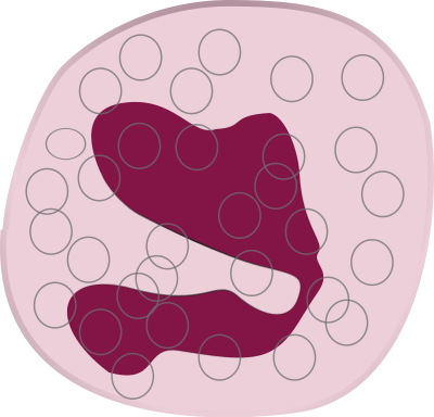 Eosinophil clipart