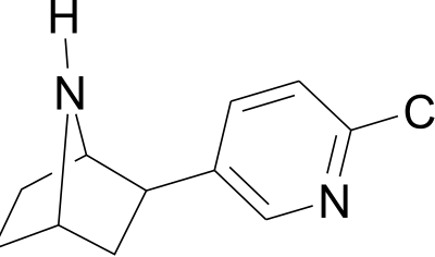 Epibatidine clipart