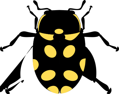 Eriopis Canrash Bug clipart