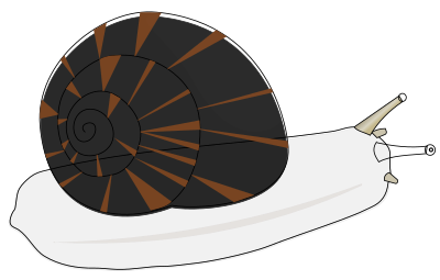 Escargot clipart