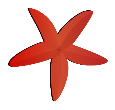 Etoile de mer clipart