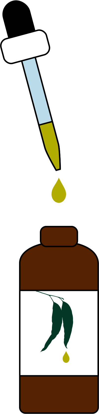 Eucalyptus essential oil clipart