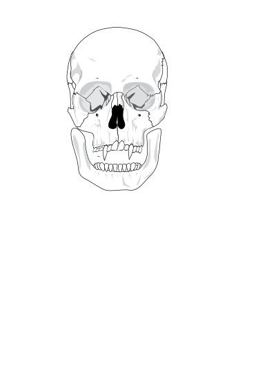Evil skull clipart