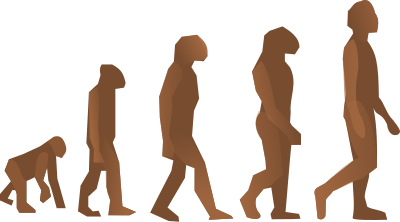 Evolution steps clipart