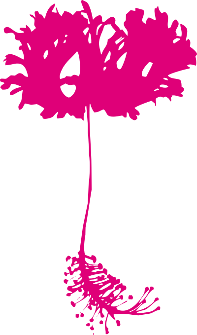 Exotic flower clipart
