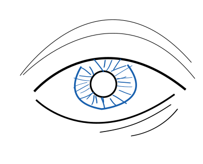 Eye clipart