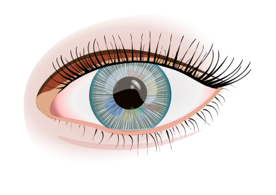 Eye (#17) clipart