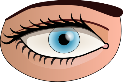 Eye clipart