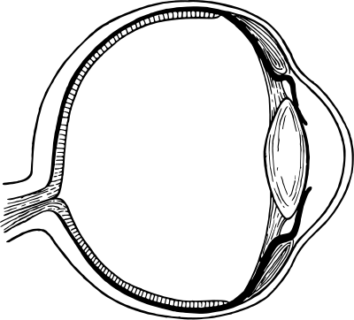 Eye 3 clipart