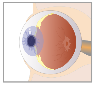Eye clipart