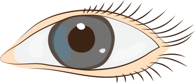 Eye (#9) clipart