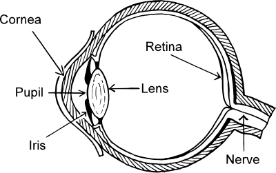 Eye diagram clipart