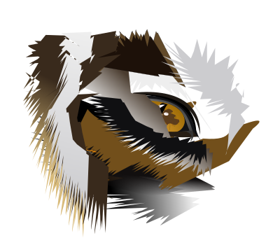Eye of the tiger clipart
