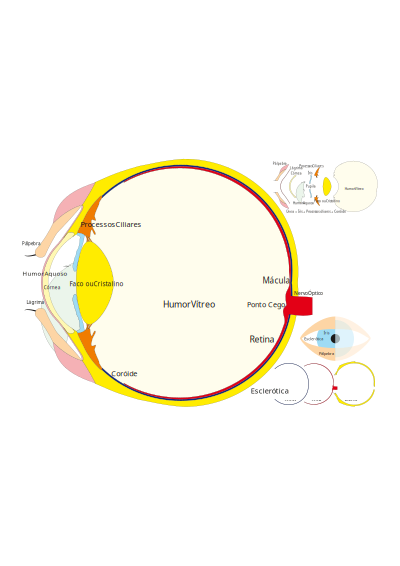 Eye Parts clipart