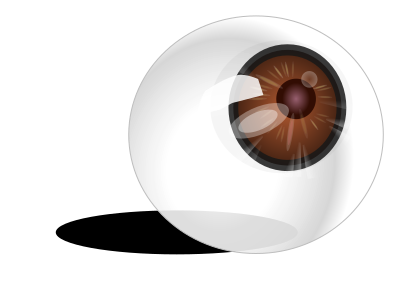 Eyeball brown clipart