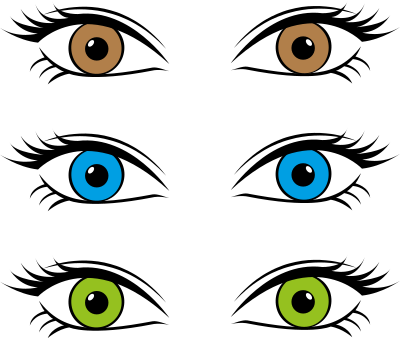 Eyes (#1) clipart