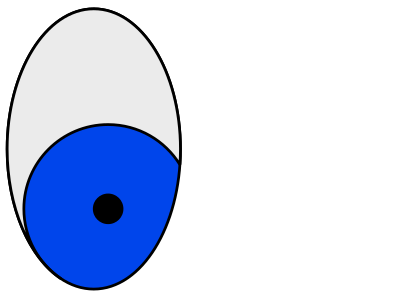 Eyes clipart