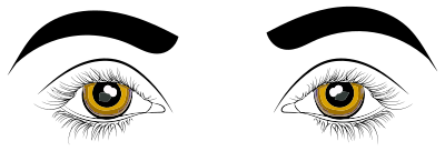 Eyes Illustration clipart