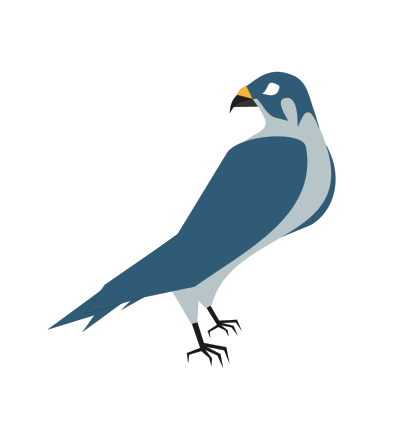 Falcão, Hawk clipart
