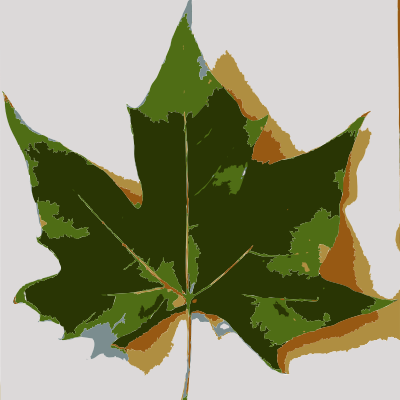 Fall Beijing Leaves 3 clipart