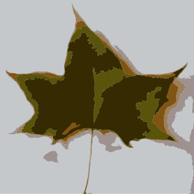 Fall Beijing Leaves 4 clipart