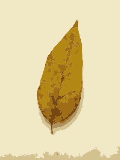 Fall Leaves 1 clipart