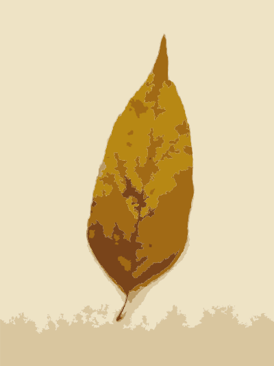 Fall Leaves clipart