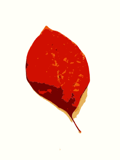 Fall leaves from Missouri trees 1 clipart