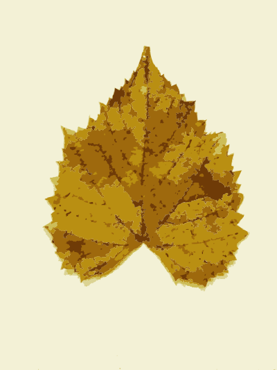 Fall leaves from Missouri trees clipart