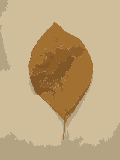 Fall leaves from Missouri trees 2 clipart