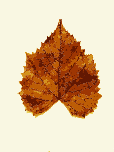 Fall leaves from Missouri trees 3 clipart