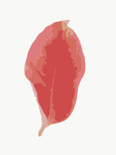 Fall Leaves in Hong Kong clipart
