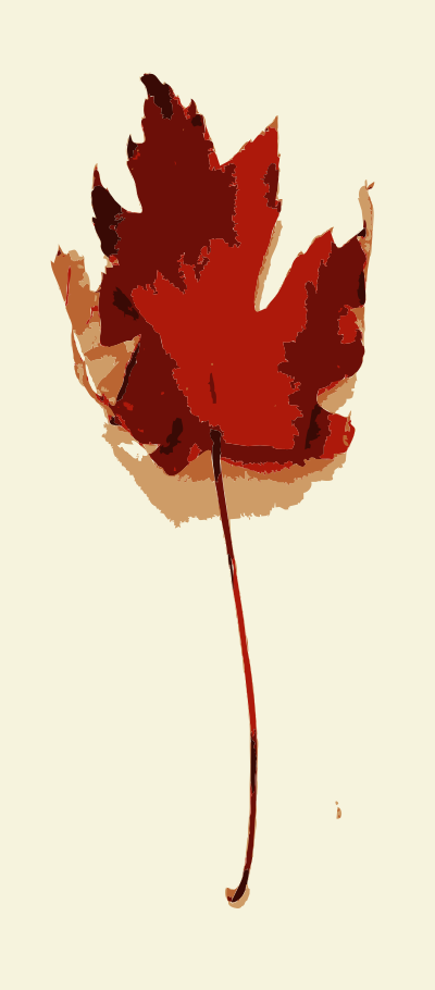 Fall leaves with color 1 clipart