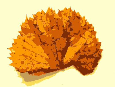 Fall leaves with color clipart