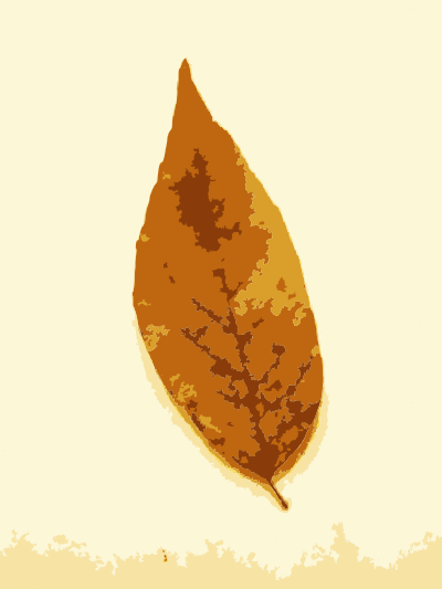 Fall leaves with color 2 clipart