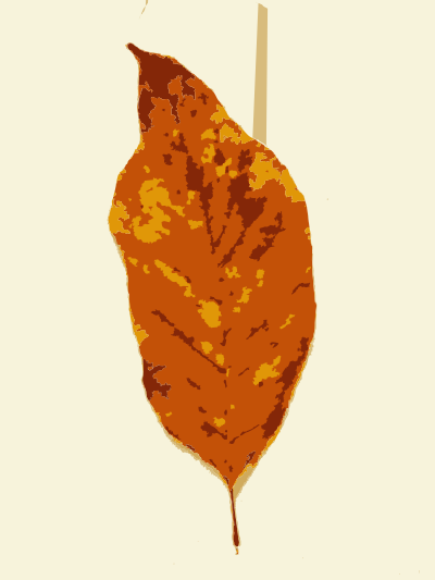 Fall leaves with color 3 clipart