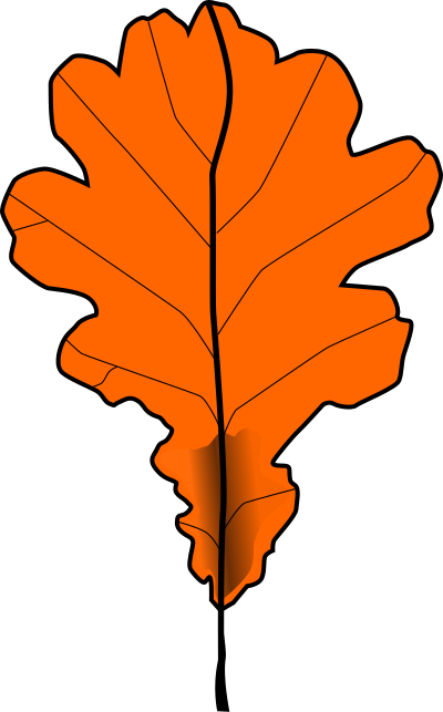 Fall2010-1 clipart