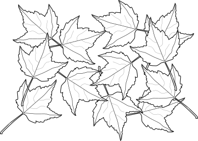Fall2010-13 clipart