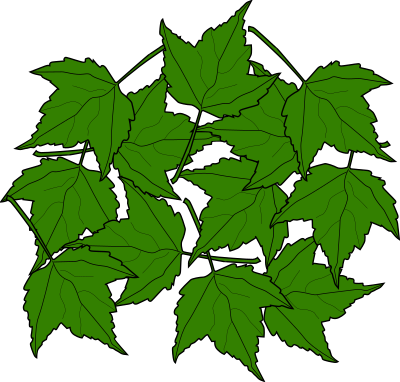 Fall2010-15 clipart