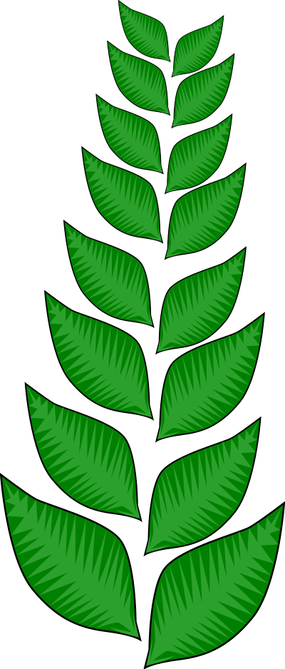 Fall2010-17 clipart