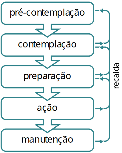 Fases da mudança clipart