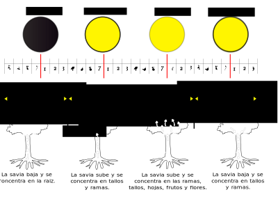 Fases De La Luna clipart