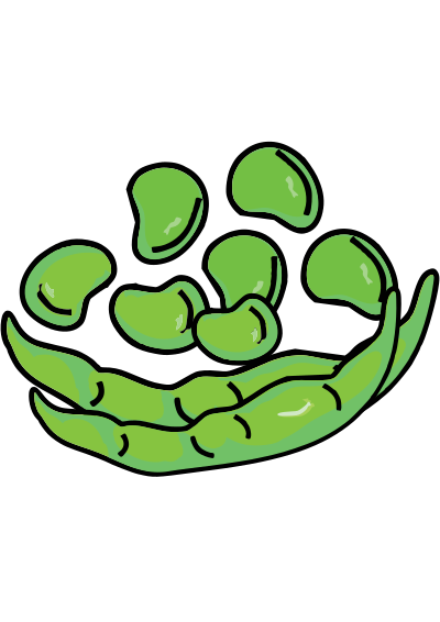 Fava Beans clipart