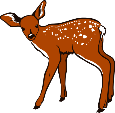Fawn clipart