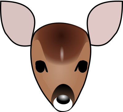 Fawn clipart